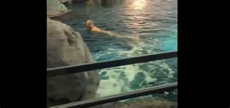 B C Man Accused Of Skinny Dipping In Shark Tank Arrested CityNews Vancouver