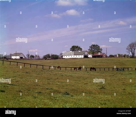 Echo Valley Thoroughbred Horse Farm Near Lexington In The Blue Grass