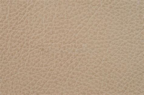 Light Brown Leather Texture Surface Close Up Of Natural Grain C Stock