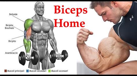 Biceps Workout At Home Dumbbell Only Best Bicep Exercises DUMBBELL ARM Workouts