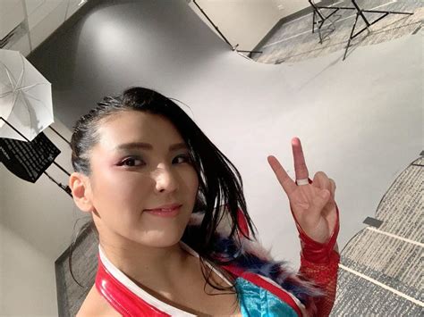 Best 80 WWE Wrestler Hikaru Shida Sexy Hot Bikini Pics Gallery