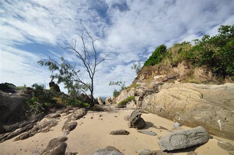 Rocky Beach Stock Image Image Of Holiday Rocks Beach 21923617