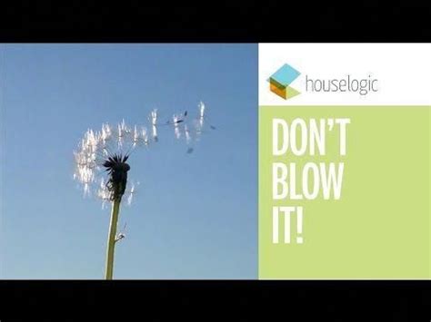 progressive homeowner insurance #InsuranceHomeOwner | Best ...