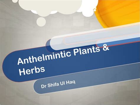 new anthelmintic agents from medicinal plants ppt