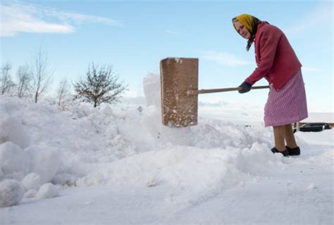 Funny Pictures Of Snow Shoveling