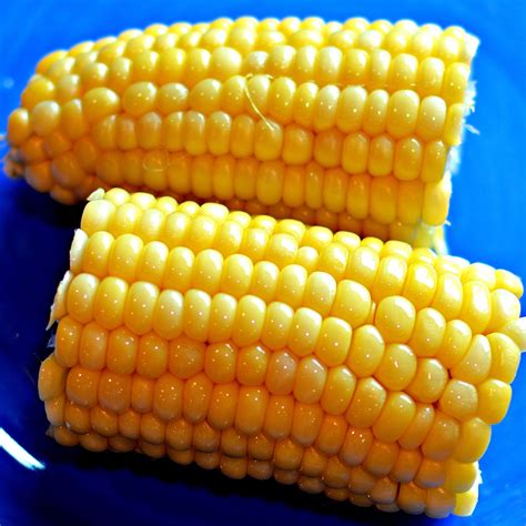 Easy Vegan Microwave Corn On The Cob Recipe