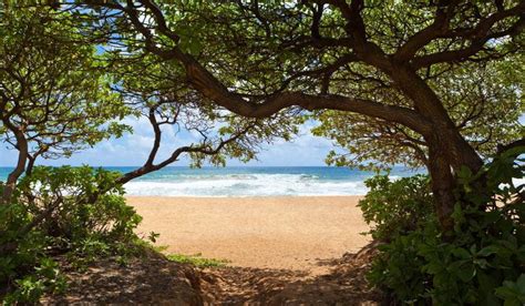 Wailua Beach In Kauai Hawaiian Planner