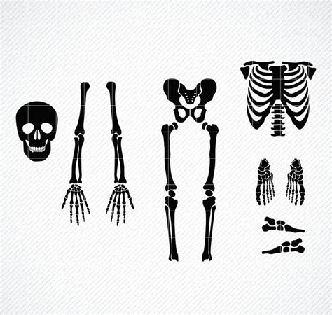 Scrapbooking Paper Party And Kids Skeleton Full Body Rib Cage Skull