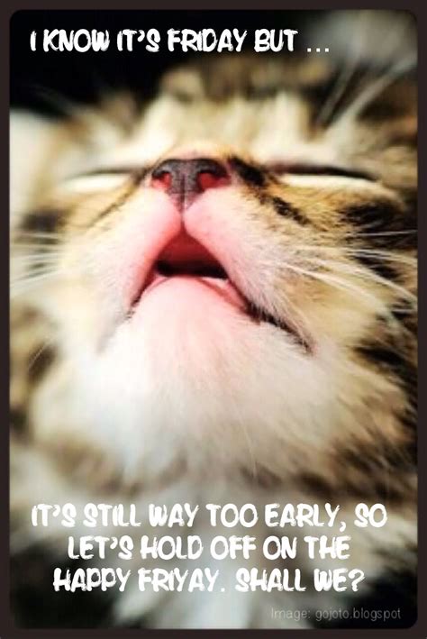 24 Funny Happy Friday Cat Meme
