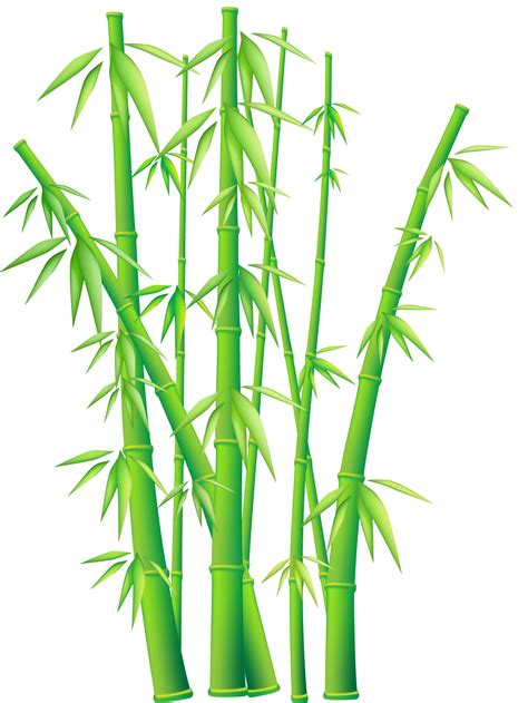 Bamboo Leaves Clipart Clipground