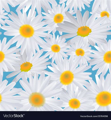White Daisy Flower On Blue Seamless Background Vector Image