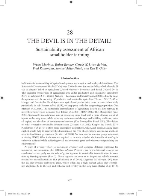 PDF The Devil Is In The Detail Sustainability Assessment Of African Smallholder Farming
