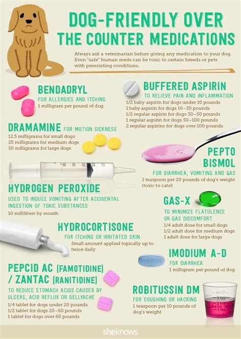 Human Medications That Are Safe For Dogs Dog Doggies And Fur Babies