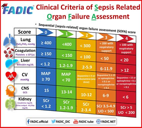 Sepsis Updates In The Management Of Sepsis And Septic Shock Fadic