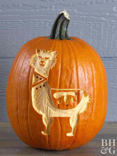 20 Pumpkin Carving Ideas Animal