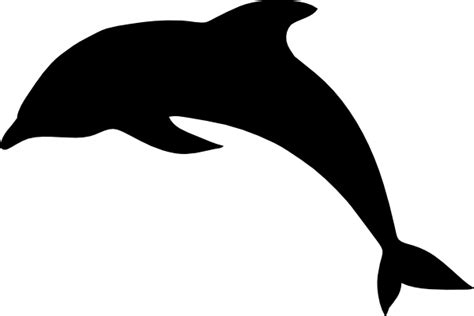 Dolphin Outline Clipart Best