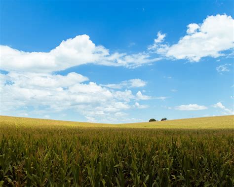 Download 1280x1024 Cropland Agriculture Field Clouds Sky Rural