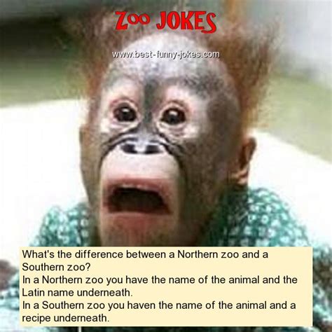Zoo Jokes Whats The Differe