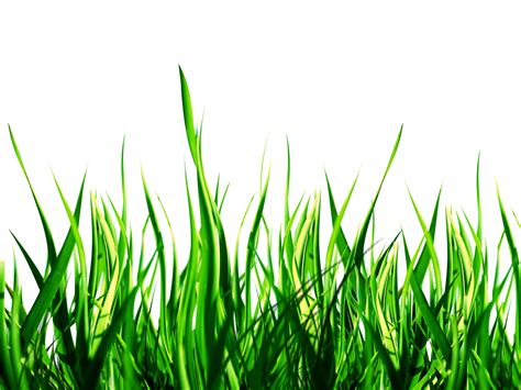 clipart pretty nature png 20 free Cliparts | Download ... Psd files, png images, clipart, graphic, clothes, photoshop background, texture, brush, gradient, shape, action, font.