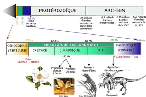 Régulation hormonale de la femme Enquête sur la disparition des dinosaures (Introduction)