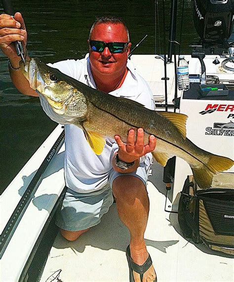 41 Snook In Fl Trophytrips Charters Fishing World Snook Fish