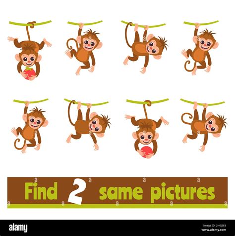 Find Two Identical Pictures Educational Game For Children Same