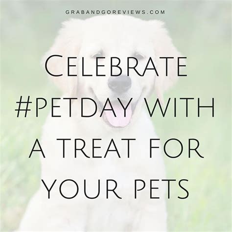 Its National Pet Day So Provide Your Pet With A Special Treat To Show