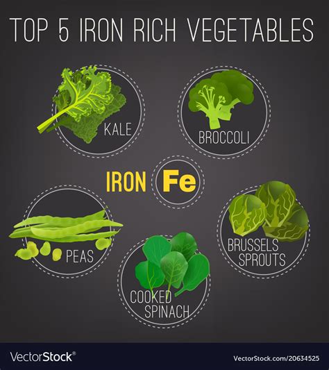 Iron Rich Foods Poster Royalty Free Vector Image
