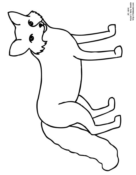 Fox Kd Doodle
