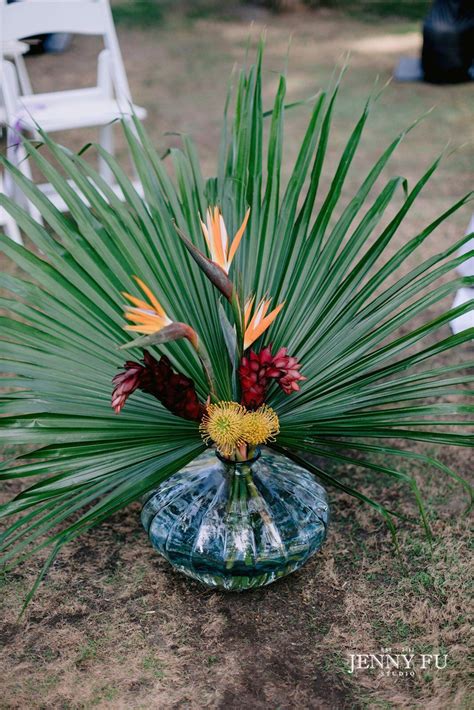 Pinterest Tiffanybenbow Flowers Plants Palm Trees