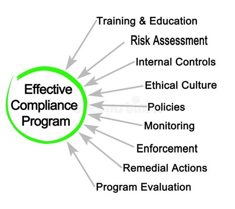 Effective Compliance Program Stock Illustration Illustration Of