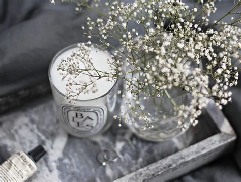 Babys Breath Flower Meaning Symbolism And Colors Pansy Maiden