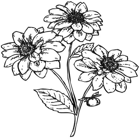 Garden Flowers Drawing Free Image Download