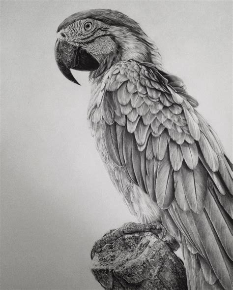Monica Lee Hyper Realistic Pencil Drawings Absolutely Amazing