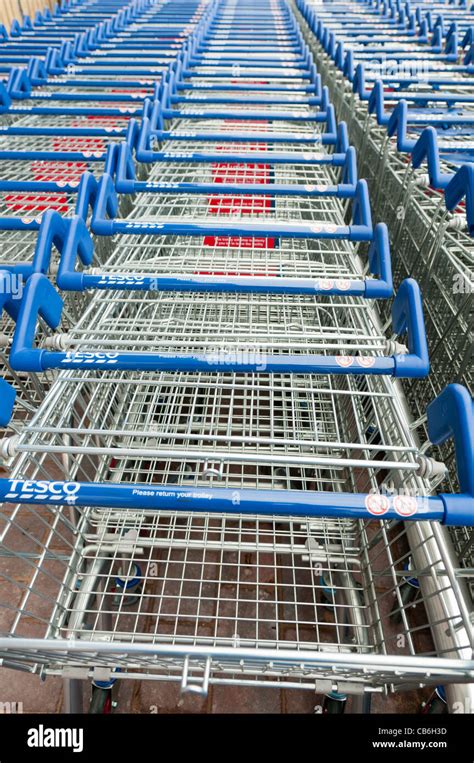 Rows Of Tesco Shopping Trolleys Stock Photo Alamy