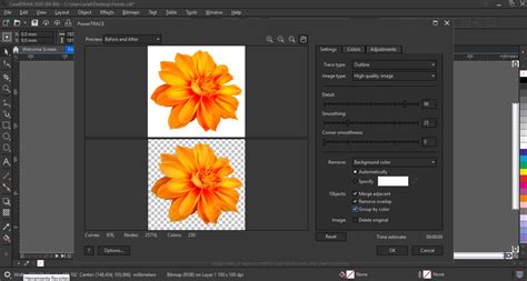 How To Remove The Background Of A Picture In Coreldraw X3 Howotre