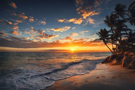 Sunrise On A Tropical Island Palm Trees On Sandy Beach Wayfarer