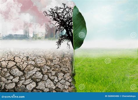 Foto Conceptual Que Representa La Tierra Destruida Por La Contaminación