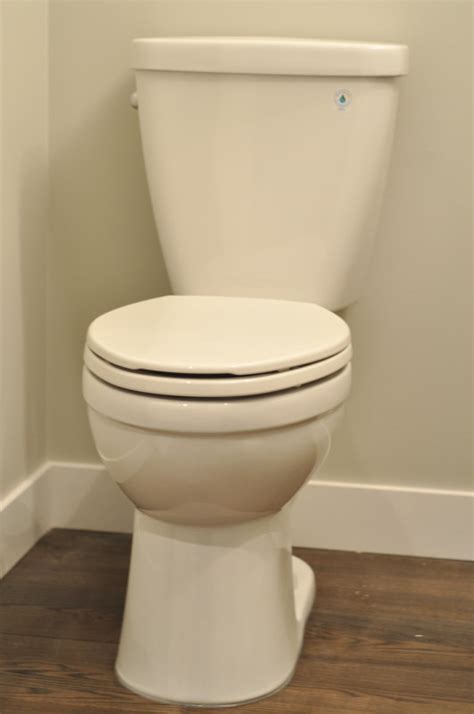 How To Shop For A Toilet Its More Than Good Looks Suburble