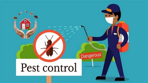 Top Pest Control Services Of 2020 Latest Entertainment News