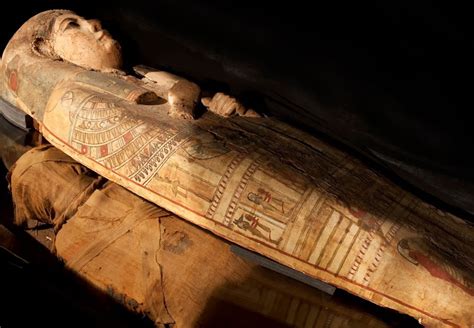 The Science Of Mummification Questacon The National Science And