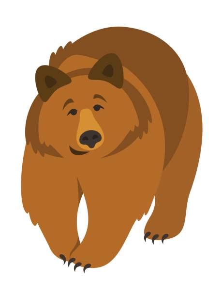 Top Cartoon Of A Grizzly Bear Standing Up Clip Art Vector Graphics And