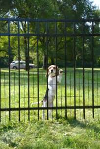 Get this free breed specific training course to have a happy & healthy dog at home. 9 best Puppy Fence images on Pinterest | Cubs, Doggies and Pup