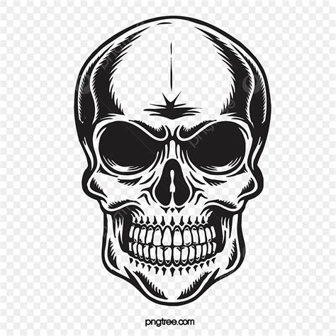 Skull Front Vector Hd Images Black Skull Front Image Skull Drawing