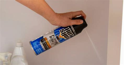 Hot Shot Flying Insect Spray Oz Only On Amazon Or Walmart