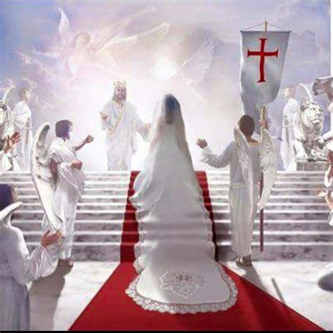 Bride Of Christ Jesus Wife Bride Of Christ Christ