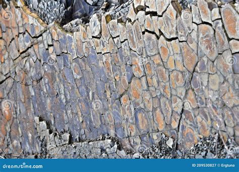 Detrital Rocks Sedimentary Rock Texture Stock Image CartoonDealer