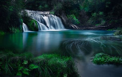 Wallpaper Forest River Waterfall New Zealand Cascade New Zealand
