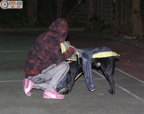 The site owner hides the web page description. 太陽報A2頭條：靈犬吠退口罩色魔救少女 - 即時新聞