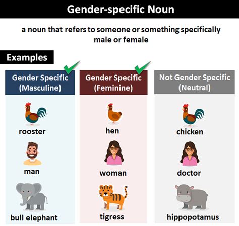 Masculine And Feminine Nouns
